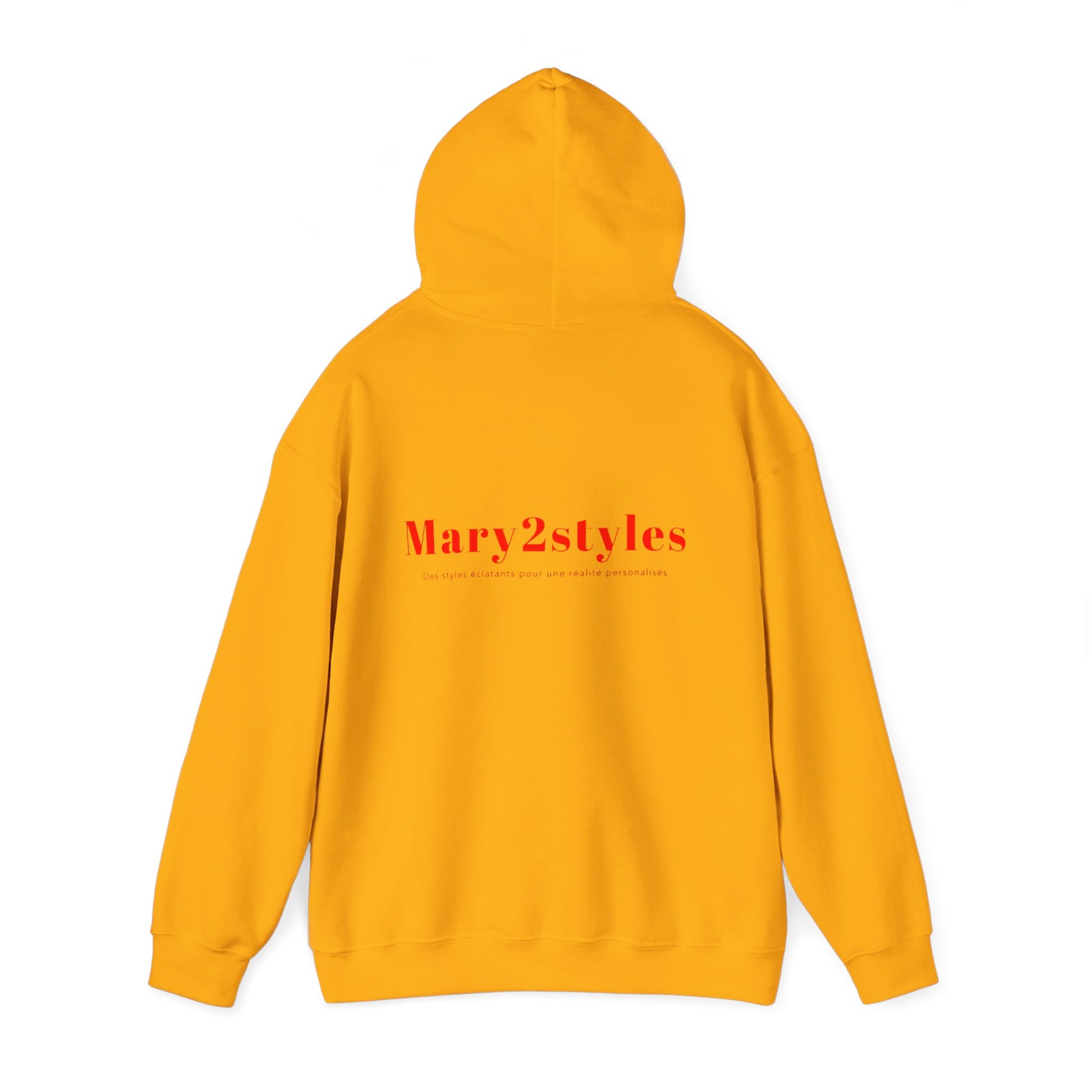 Hoodie à capuchon Mary 2 style unisexe style futuriste | Mary2styles